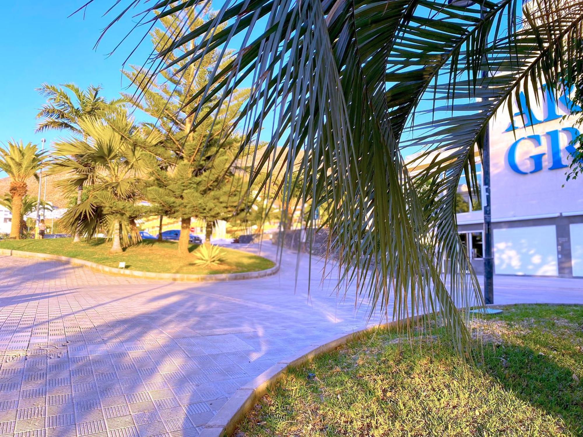 Ferienwohnung Tropicalidays Cristianos Angel Los Cristianos  Exterior foto